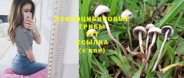 каннабис Гусь-Хрустальный